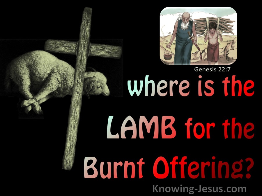 Genesis 22:7 Where Is The Lamb For A Burnt Offering (red)